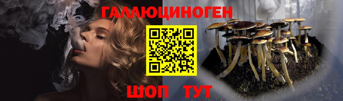 Галлюциногенные грибы Psilocybe  Вход с VPN  Сокол 