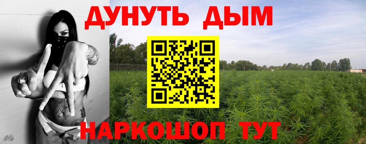 Конопля Amnesia  Вход с VPN  Конопля конопля  Сокол  Конопля LSD WEED 